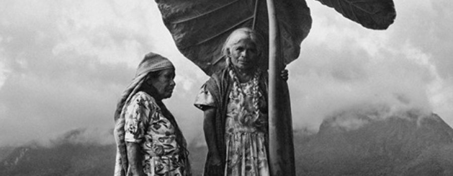 Dioses de México