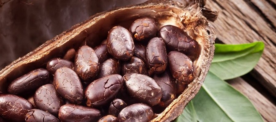La leyenda del cacao