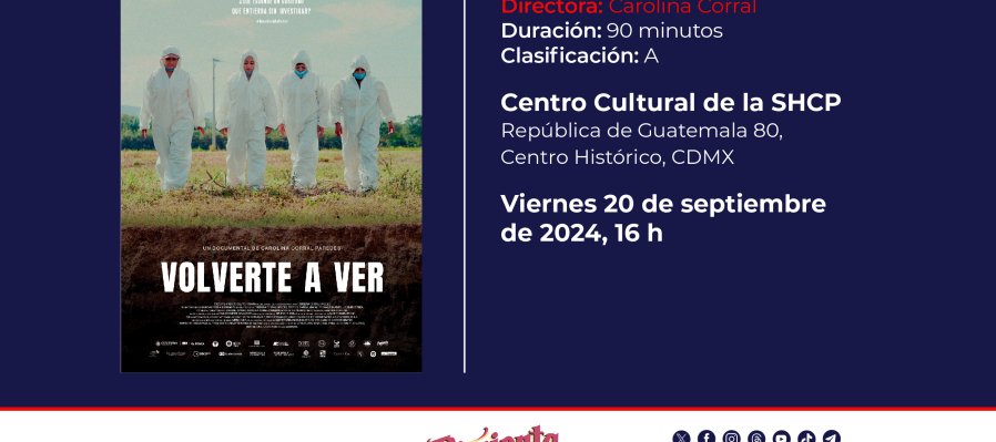 Volverte a ver