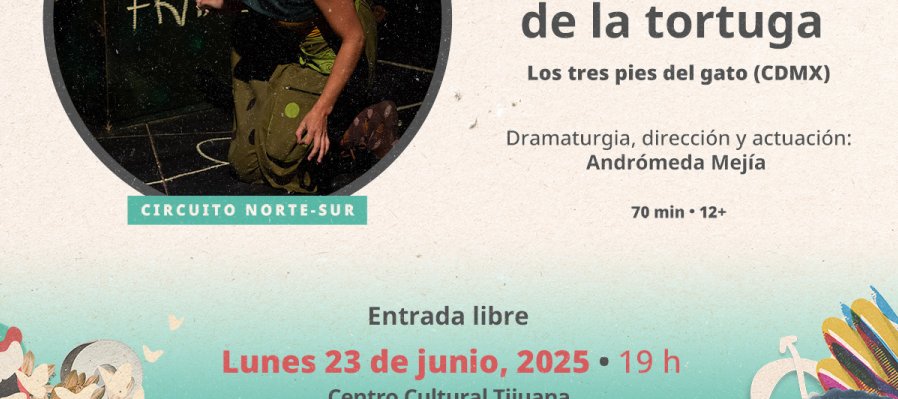 Nina y el misterio de la tortuga