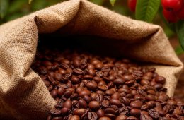 Imagen muestra de la actividad Encuentro de Baristas