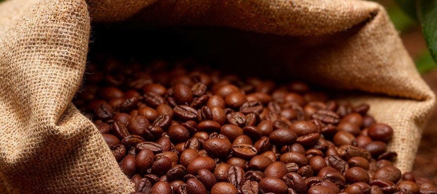 Encuentro de Baristas