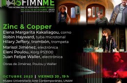 Imagen muestra de la actividad: Zinc & Copper| Programa 25