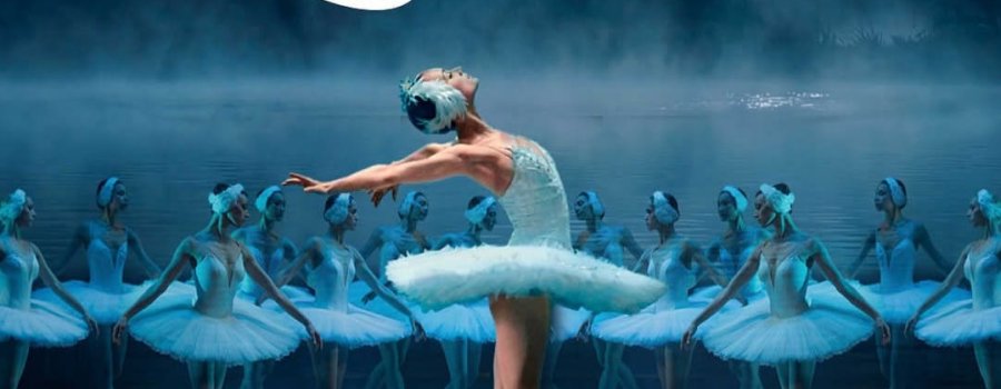 El lago de los cisnes