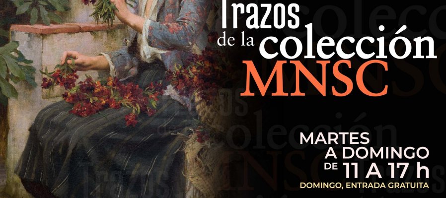 Trazos de la colección MNSC