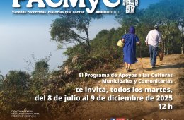 Imagen muestra de la actividad Diálogos Virtuales PACMYC 36 años