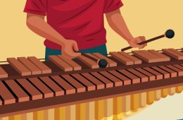 Imagen muestra de la actividad Concierto de Marimba