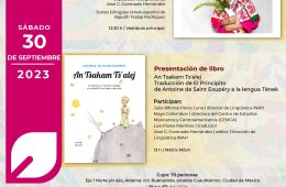 Imagen muestra de la actividad: Mundos por traducir