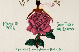 Imagen muestra de la actividad: La Bella y La Bestia