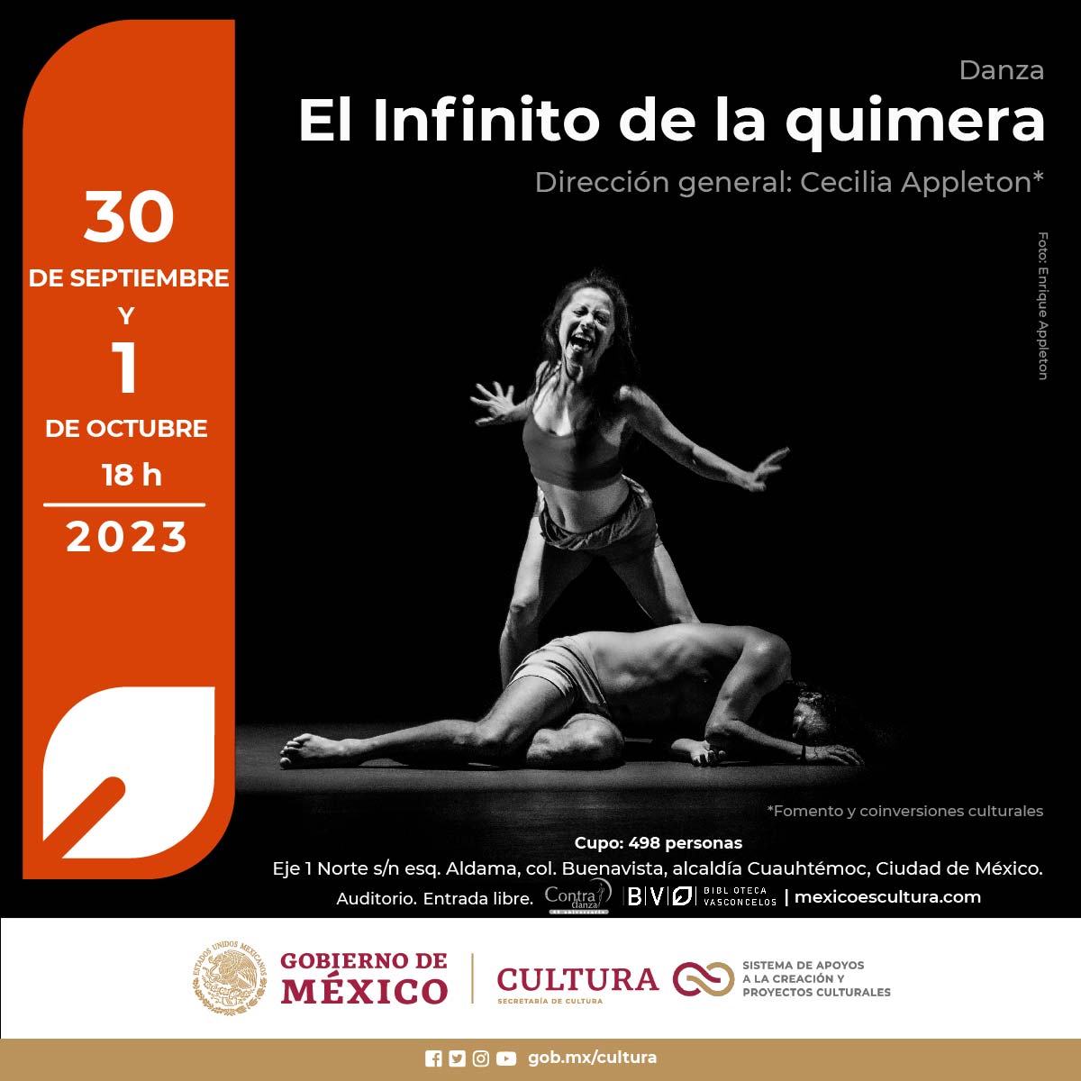 El infinito de la quimera