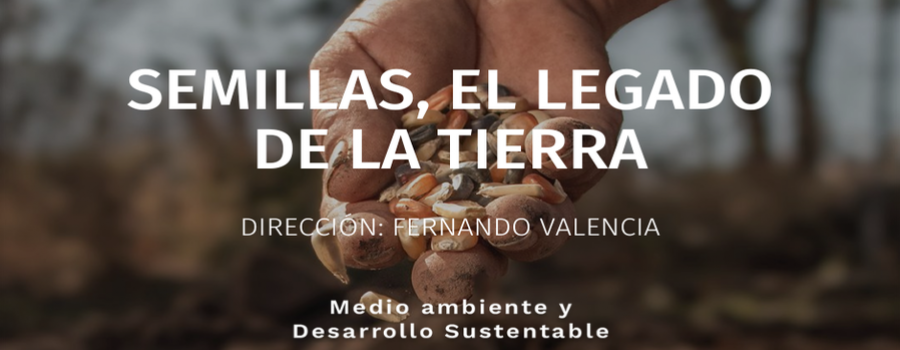 Semillas, el legado de la Tierra