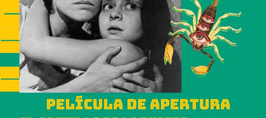 El castillo de la pureza