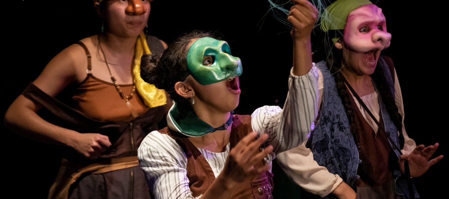 Isla popotes o la historia de cuando quise abrazar un ave salvaje