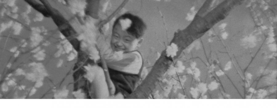 Koibumi