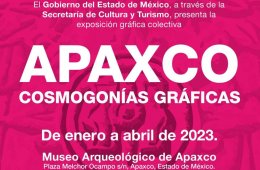 Imagen muestra de la actividad 