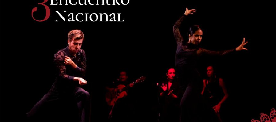 3er. Encuentro de Flamenco, Danza Española y Experimentación