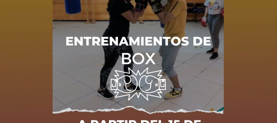 Entrenamientos de box