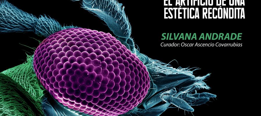 Estrambótico, el artificio de una estética recóndita