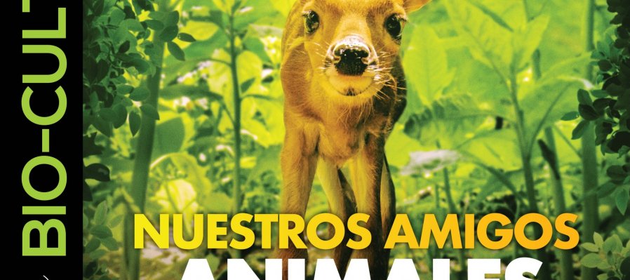 Proyecto BIO-CULTURA