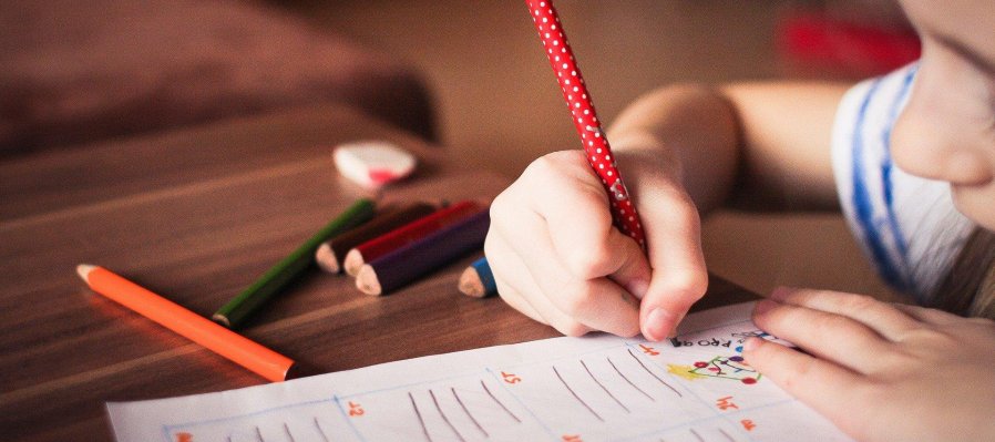 Regularización: Matemáticas y español