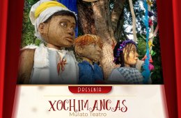 Imagen muestra de la actividad: Xochimancas