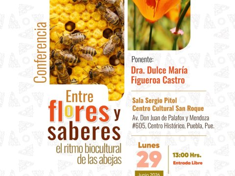 Entre Flores y Saberes