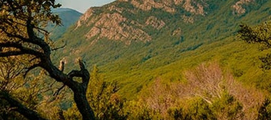 Senderismo Camino al Picacho