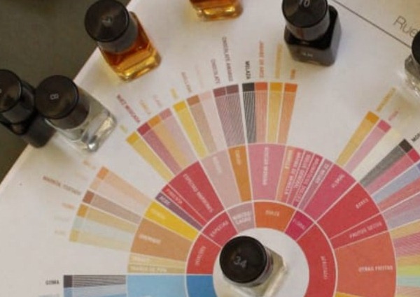 Imagen muestra de la actividad Aromas y sabores