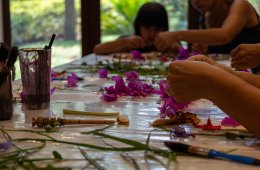 Imagen muestra de la actividad Taller de Insectos con Pigmentos Naturales