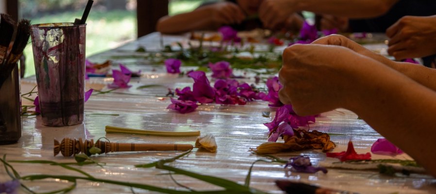 Taller de Insectos con Pigmentos Naturales