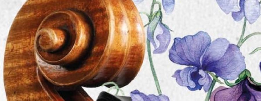 Concierto Orquesta Sinfónica de Oaxaca