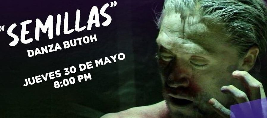 Semillas
