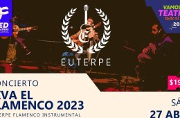 Imagen muestra de la actividad Viva el Flamenco 2023