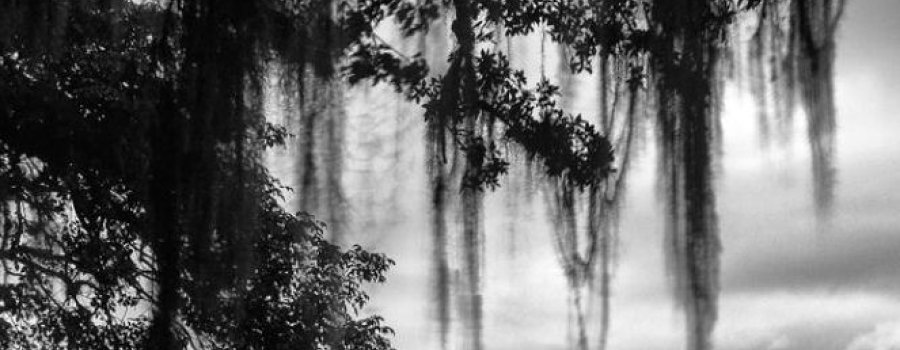 El desierto de la soledad: Tiempos en una selva sin tiempo