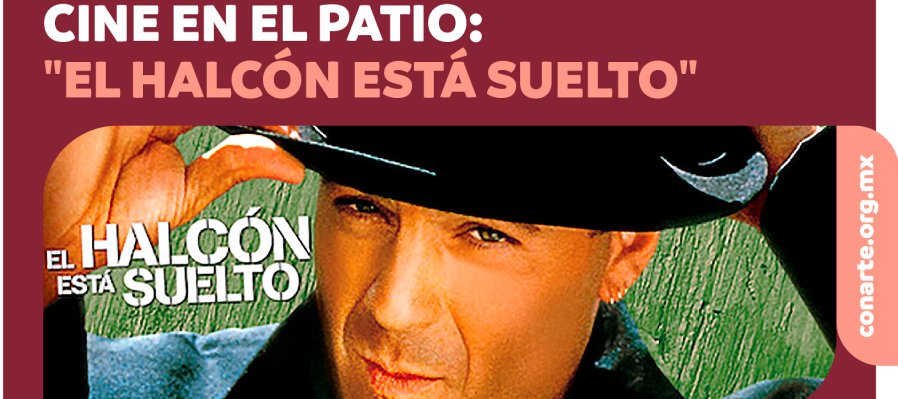 El halcón está suelto