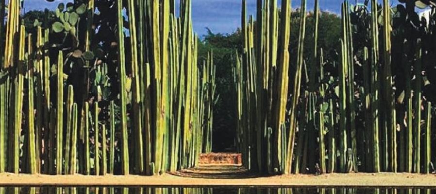 Concierto de la Orquesta Sinfónica de Oaxaca