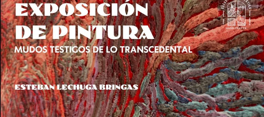 Mudos testigos de lo transcedental