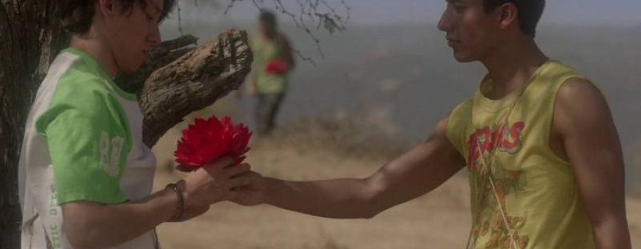 El tigre y la flor