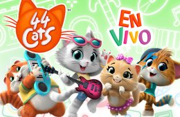 Imagen muestra de la actividad 44 Cats