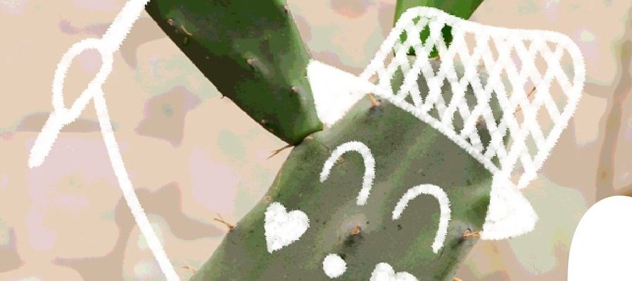 Con alma de nopal