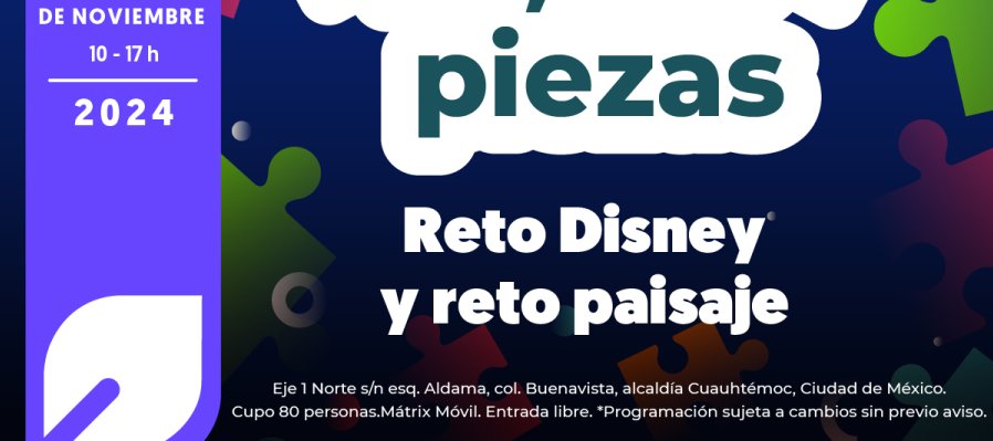 Armando 23 500 piezas