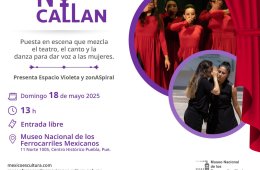 Imagen muestra de la actividad Voces que no callan