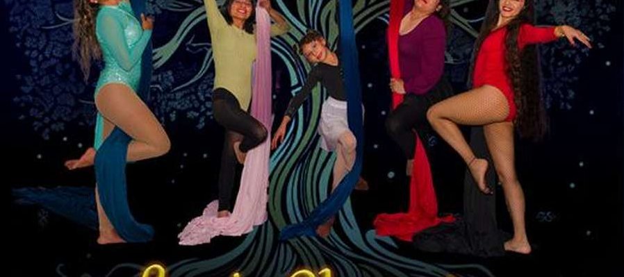 Los 4 elementos