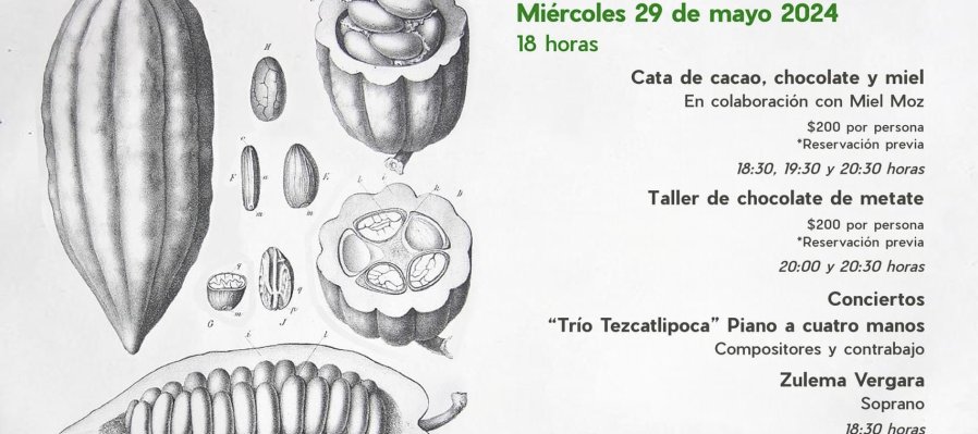 Procesos naturales:Educación y cacao