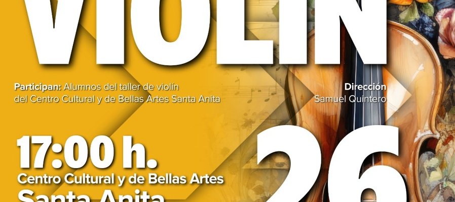 Recital de violín
