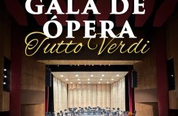 Imagen muestra de la actividad Gala de ópera