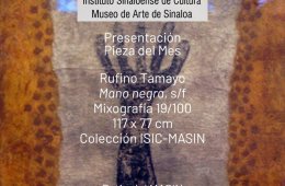 Imagen muestra de la actividad Mano negra