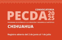 Imagen muestra de la actividad Programa de Estímulo a la Creación y Desarrollo Artíst...