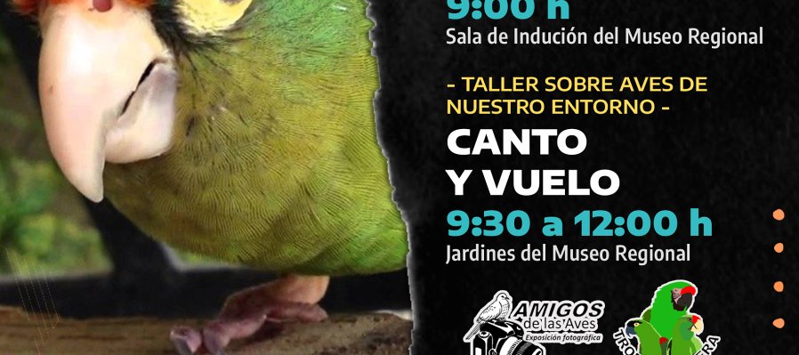 Amigos del San Marcos