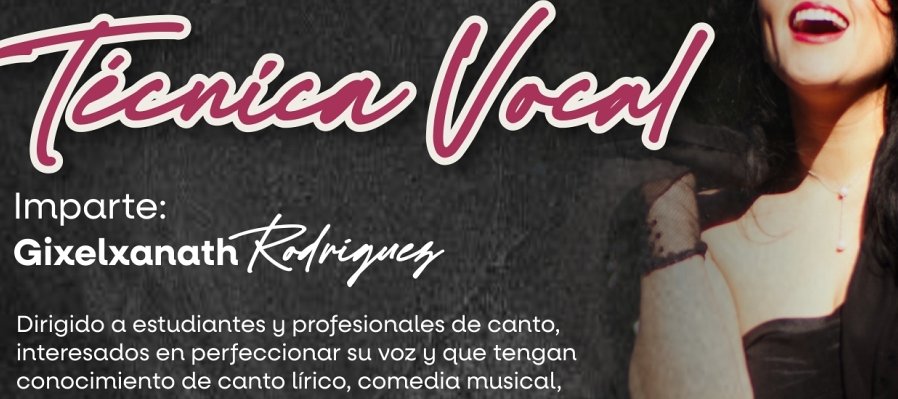 Técnica vocal